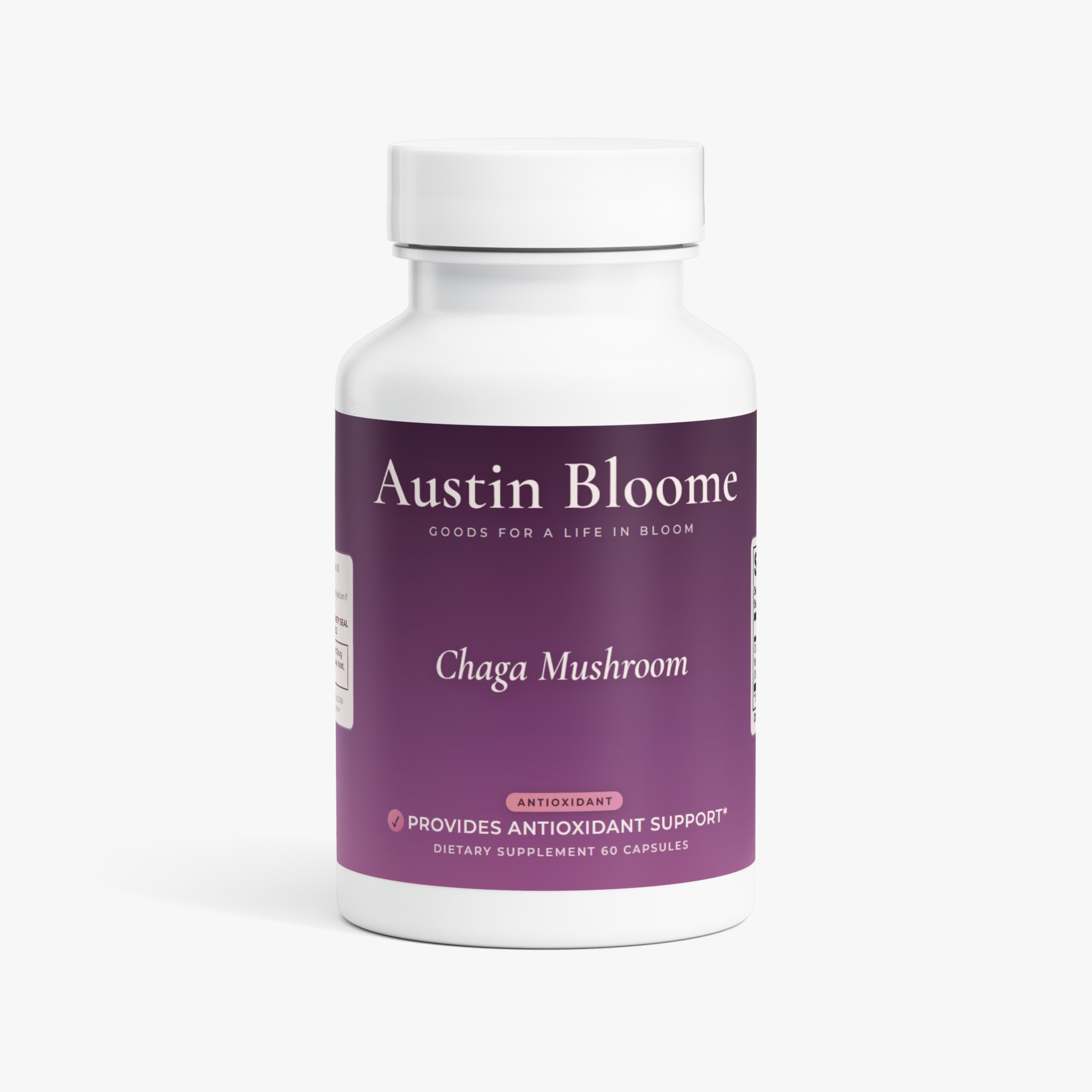 Chaga Mushroom