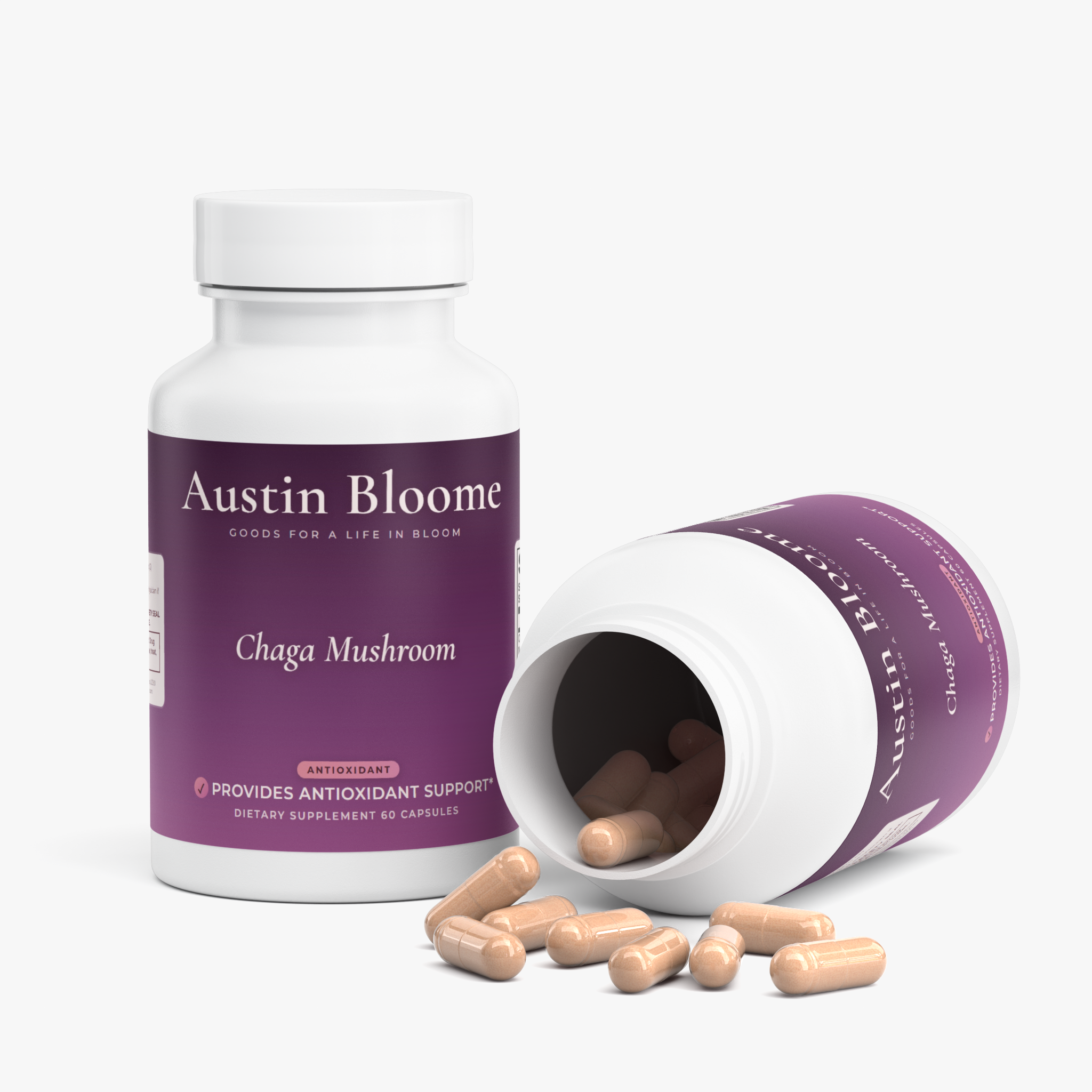 Chaga Mushroom