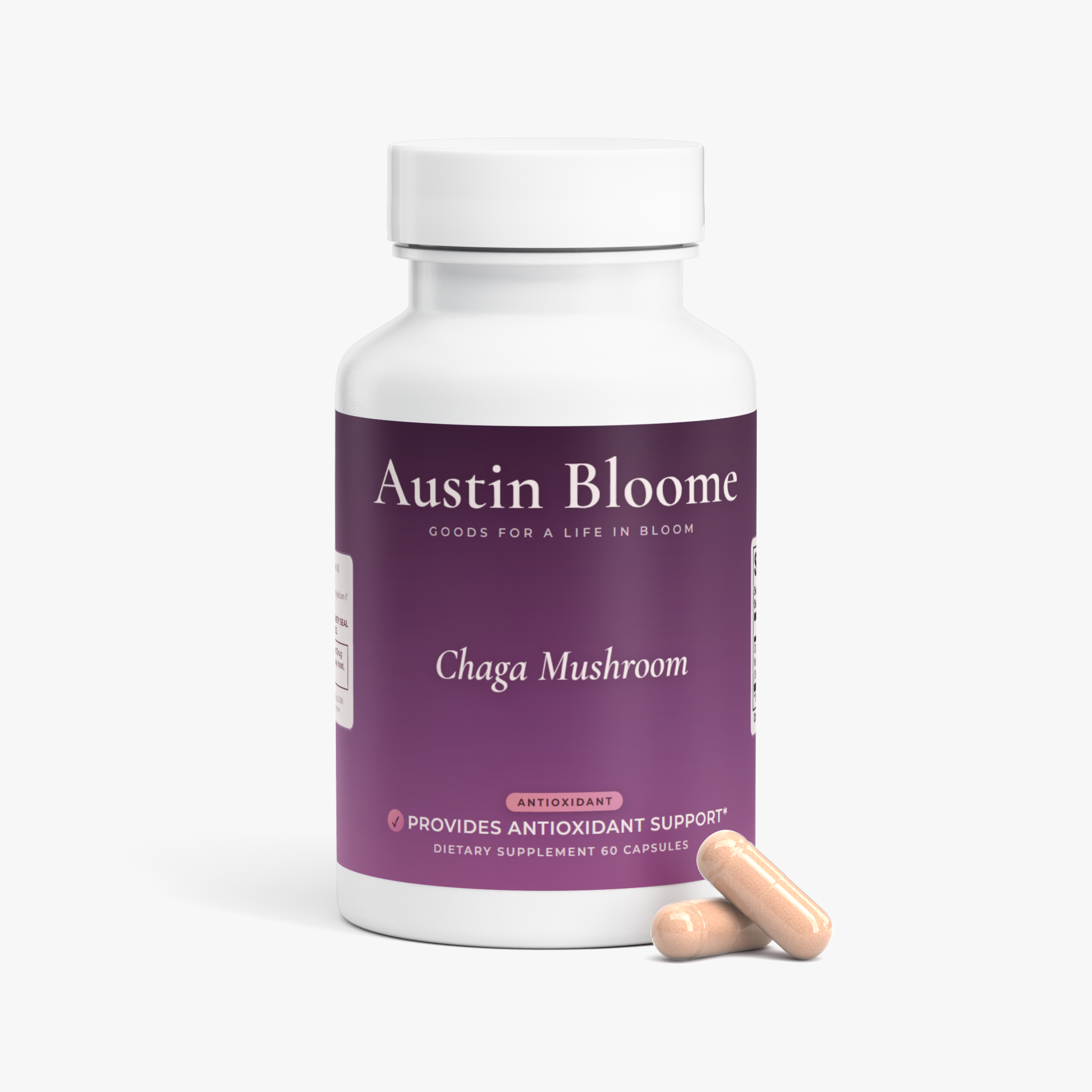 Chaga Mushroom