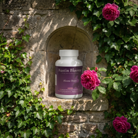Bloome Desire — garden wall niche