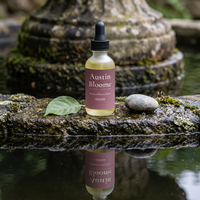 Botanical Density Serum — pond's edge